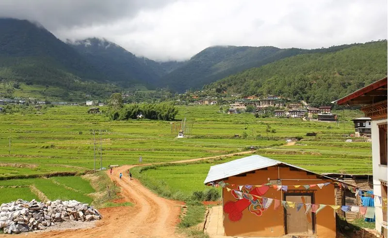 Chimi-Lhakhang-short-hike