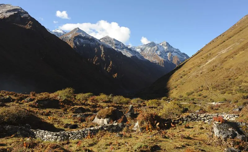 Jomolhari-Yaksa-Trek