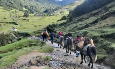 Merak-and-Sakteng-Trek