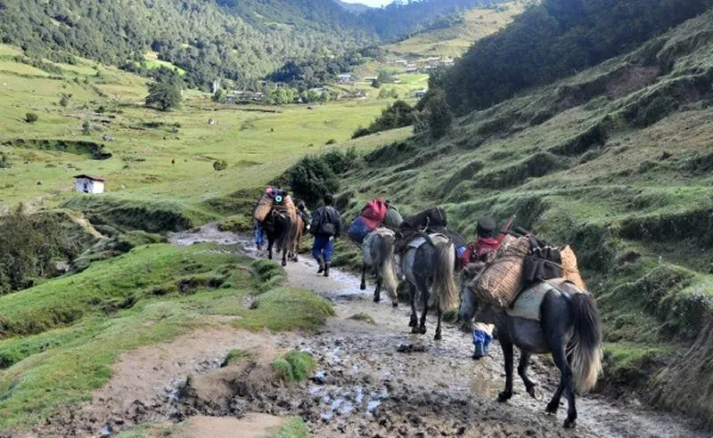 Merak-and-Sakteng-Trek