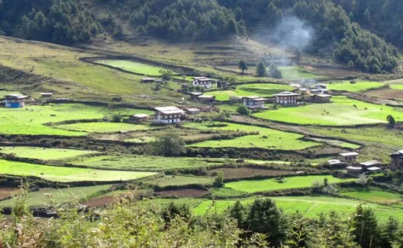 bhutan-gangtey-valley-trek