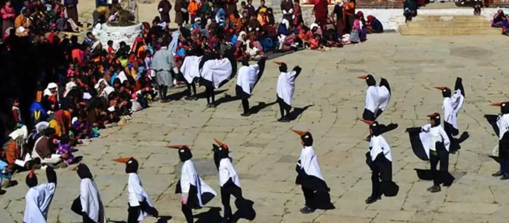 black-necked-crane-festival