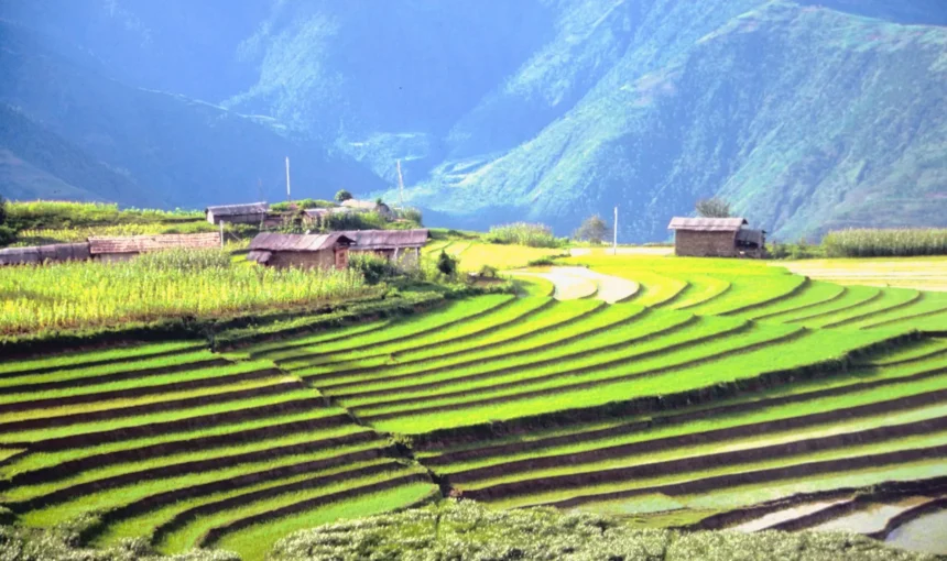 The Rural Bhutan