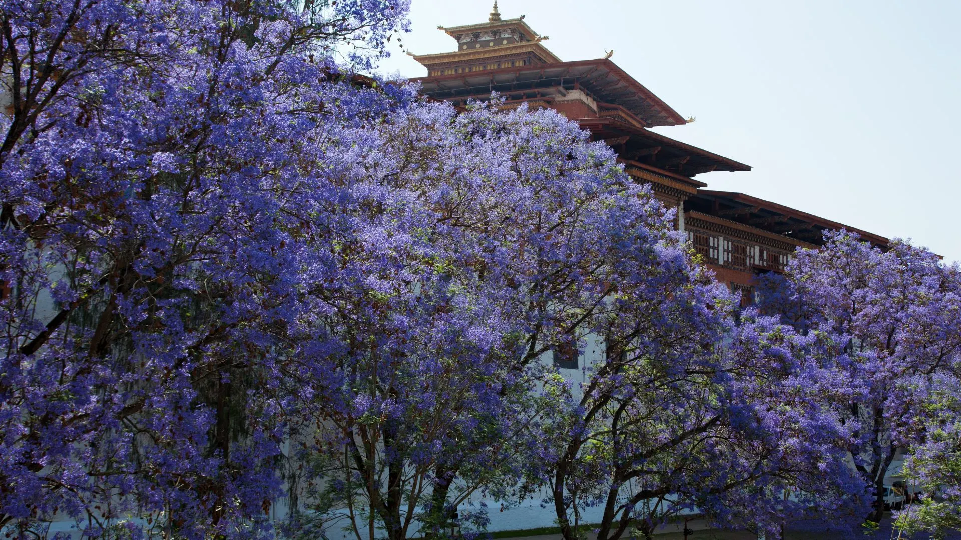 Punakha Dzong