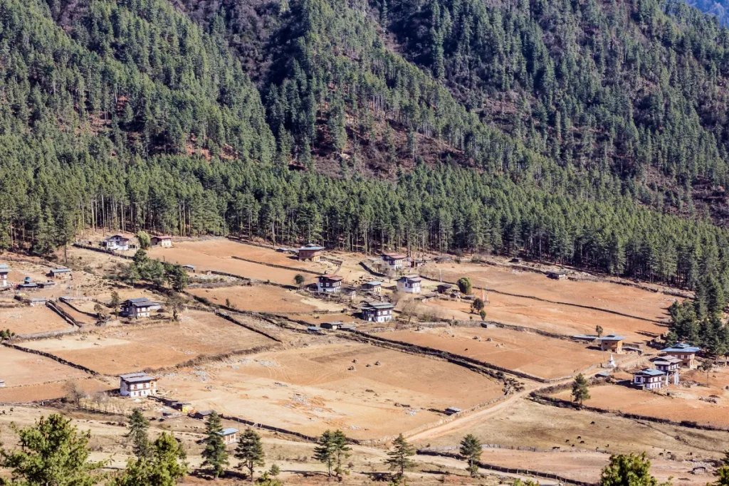 Beautiful scenery of Gangtey