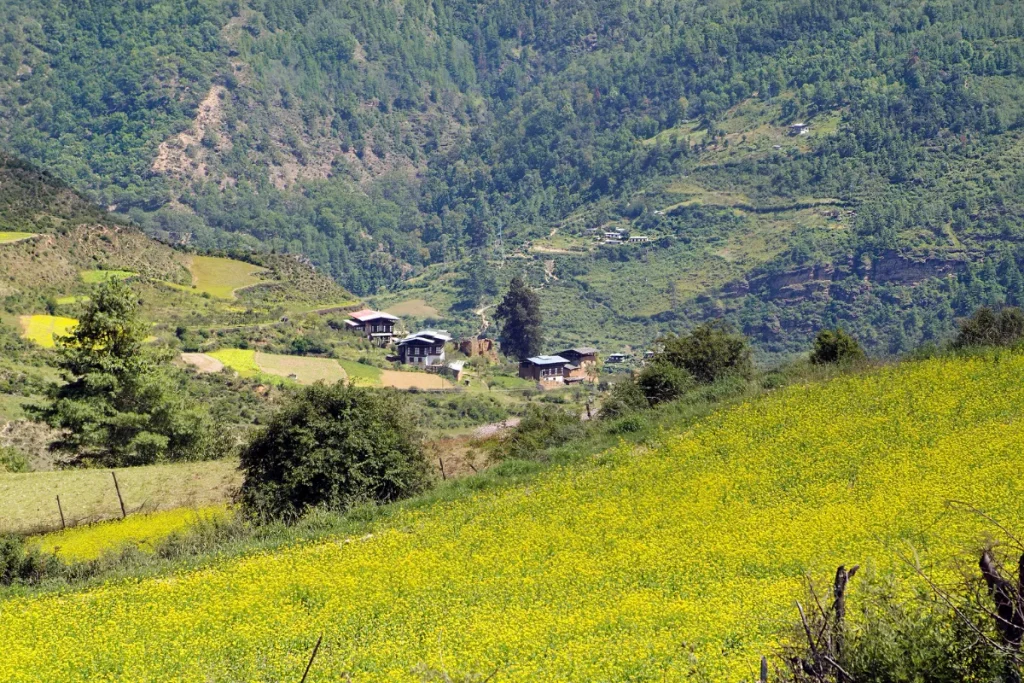 Beautiful scenery of Haa Valley
