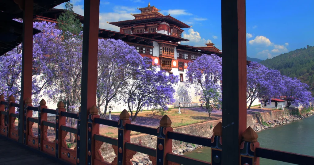 Why Was Punakha Dzong Built?
