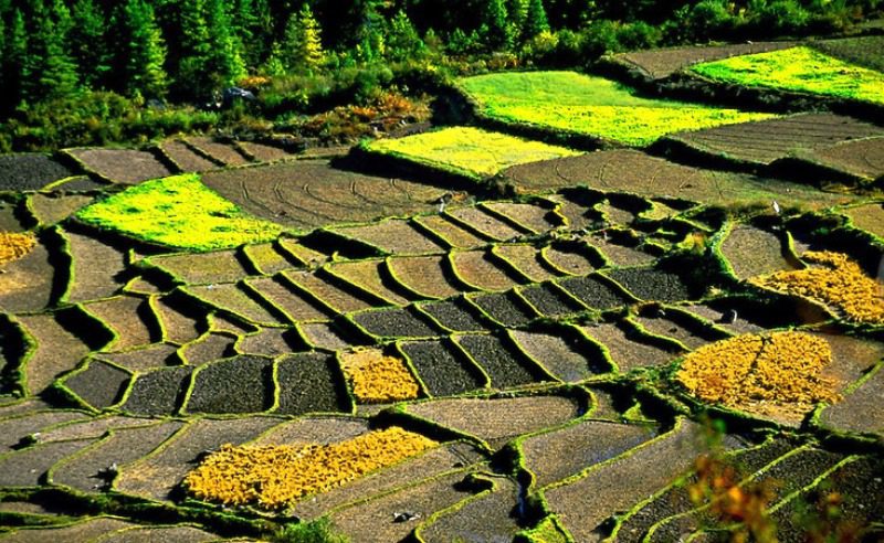 Drukgyel_Dzong,_Paro